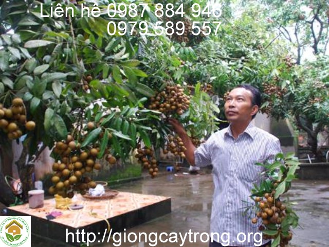 130815 nhan muon dai thanh 2