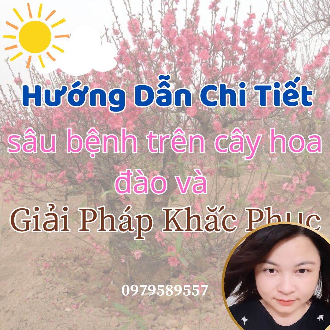 Hướng dẫn chi tiết về sâu bệnh trên cây hoa đào và giải pháp khắc phục