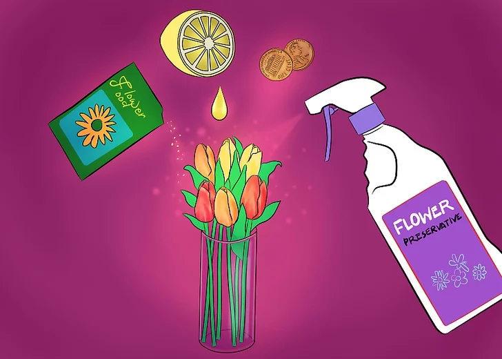 sử dụng thuốc dưỡng hoặc phân bón để chăm hoa tulip