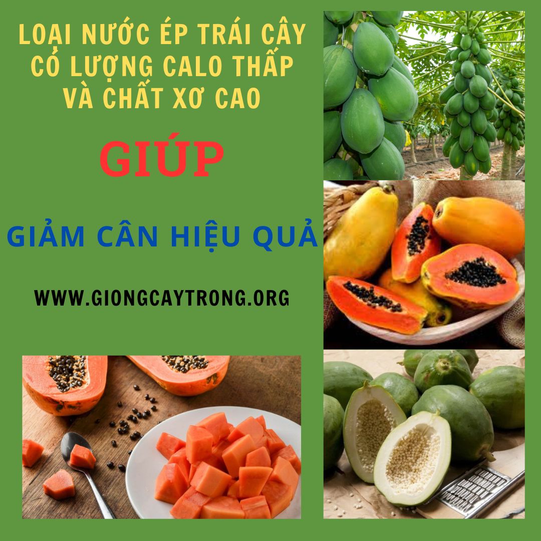 Bất Ngờ loại nước ép trái cây có lượng calo thấp và chất xơ cao giúp giảm cân hiệu quả