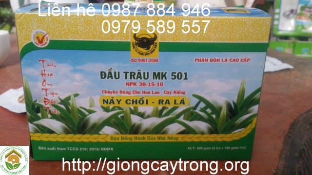 phan bon dau trau 501